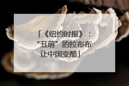 《纽约时报》：“丑萌”的拉布布让中国变酷