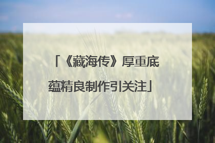 《藏海传》厚重底蕴精良制作引关注