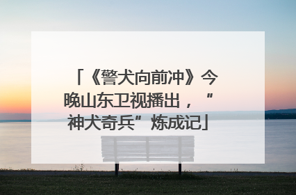《警犬向前冲》今晚山东卫视播出，“神犬奇兵”炼成记