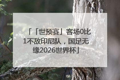 「世预赛」客场0比1不敌印尼队，国足无缘2026世界杯