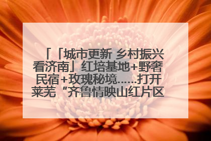 「城市更新 乡村振兴看济南」红培基地+野奢民宿+玫瑰秘境……打开莱芜“齐鲁情映山红片区”的破圈秘籍
