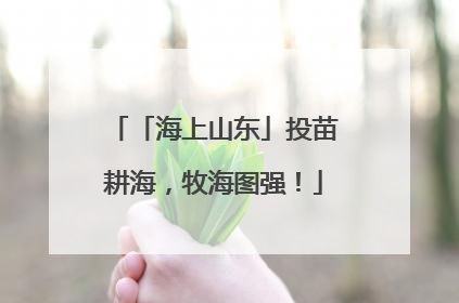 「海上山东」投苗耕海，牧海图强！