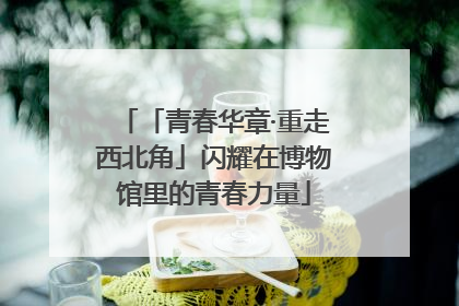 「青春华章·重走西北角」闪耀在博物馆里的青春力量