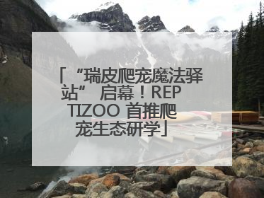 “瑞皮爬宠魔法驿站” 启幕！REPTIZOO 首推爬宠生态研学
