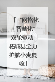 “网格化+智慧化”双轮驱动 柘城县全力护航小麦夏收