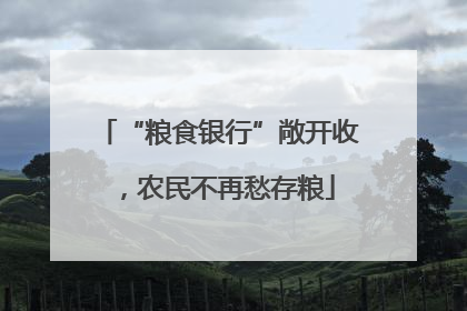 “粮食银行”敞开收，农民不再愁存粮