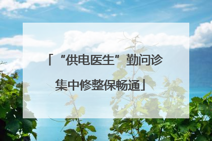 “供电医生”勤问诊 集中修整保畅通