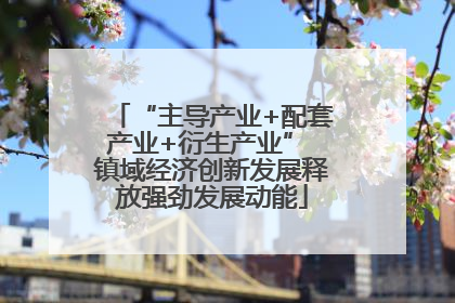 “主导产业+配套产业+衍生产业” 镇域经济创新发展释放强劲发展动能