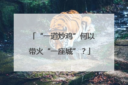 “一道炒鸡”何以带火“一座城”？