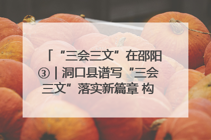 “三会三文”在邵阳③｜洞口县谱写“三会三文”落实新篇章 构建协同联动大格局