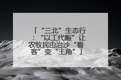 “三北”生态行：“以工代赈”让农牧民由治沙“看客”变“主角”