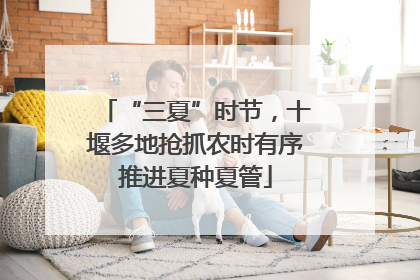 “三夏”时节，十堰多地抢抓农时有序推进夏种夏管