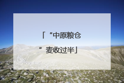 “中原粮仓”麦收过半