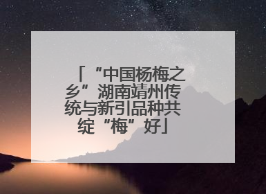 “中国杨梅之乡”湖南靖州传统与新引品种共绽“梅”好