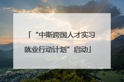 “中斯跨国人才实习就业行动计划”启动