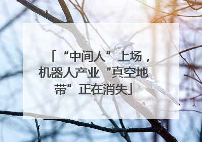 “中间人”上场，机器人产业“真空地带”正在消失