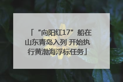 “向阳红17”船在山东青岛入列 开始执行黄渤海浮标任务