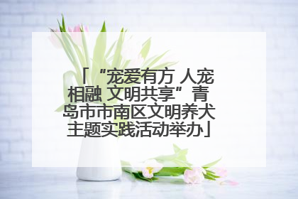 “宠爱有方 人宠相融 文明共享”青岛市市南区文明养犬主题实践活动举办