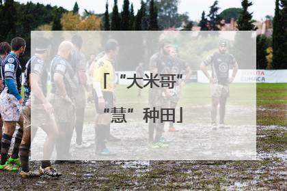“大米哥”“慧”种田