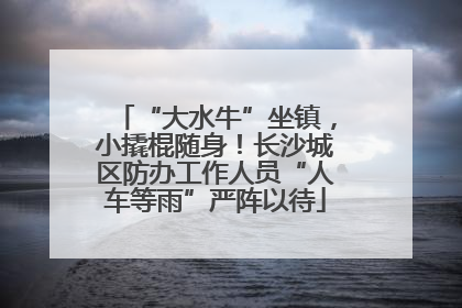 “大水牛”坐镇，小撬棍随身！长沙城区防办工作人员“人车等雨”严阵以待
