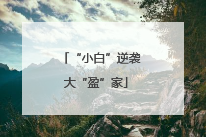 “小白”逆袭大“盈”家