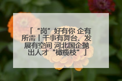 “岗”好有你 企有所需丨干事有舞台、发展有空间 河北国企抛出人才“橄榄枝”