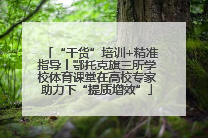 “干货”培训+精准指导丨鄂托克旗三所学校体育课堂在高校专家助力下“提质增效”