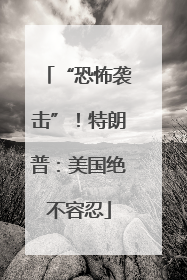 “恐怖袭击”！特朗普：美国绝不容忍