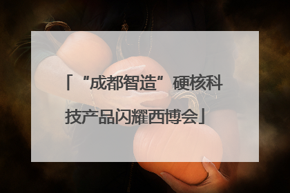 “成都智造”硬核科技产品闪耀西博会