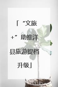 “文旅 +”助推洋县旅游提档升级