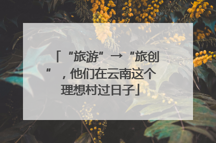 “旅游”→“旅创”，他们在云南这个理想村过日子