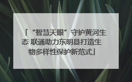“智慧天眼”守护黄河生态 联通助力东明县打造生物多样性保护新范式