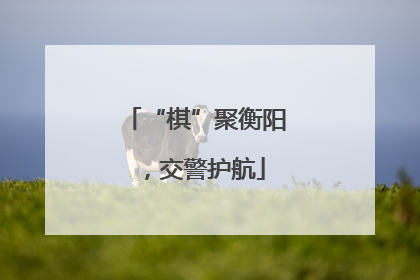 “棋”聚衡阳，交警护航