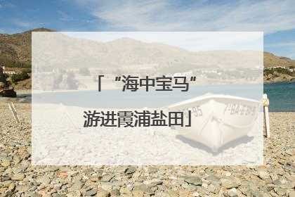 “海中宝马”游进霞浦盐田