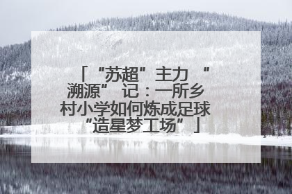 “苏超”主力 “溯源” 记：一所乡村小学如何炼成足球 “造星梦工场”