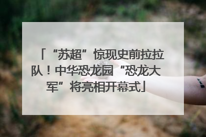 “苏超”惊现史前拉拉队！中华恐龙园“恐龙大军”将亮相开幕式