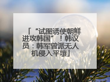 “试图诱使朝鲜进攻韩国”！韩议员：韩军曾派无人机侵入平壤