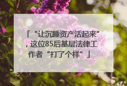 “让沉睡资产活起来”，这位85后基层法律工作者“打了个样”