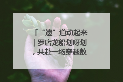 “遗”道动起来｜罗店龙船划呀划，共赴一场穿越数百年的端午之约