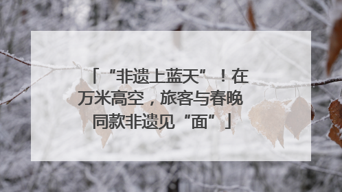 “非遗上蓝天”！在万米高空，旅客与春晚同款非遗见“面”