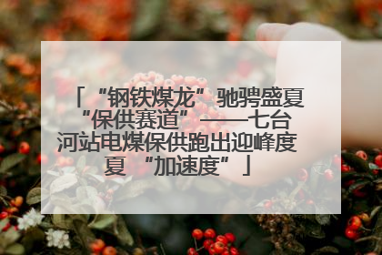 “钢铁煤龙”驰骋盛夏 “保供赛道”——七台河站电煤保供跑出迎峰度夏 “加速度”