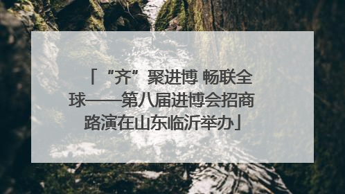 “齐”聚进博 畅联全球——第八届进博会招商路演在山东临沂举办