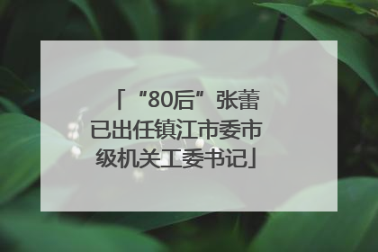 “80后”张蕾已出任镇江市委市级机关工委书记