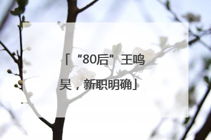 “80后”王鸣昊，新职明确