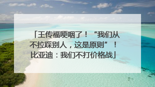 王传福哽咽了！“我们从不拉踩别人，这是原则”！比亚迪：我们不打价格战