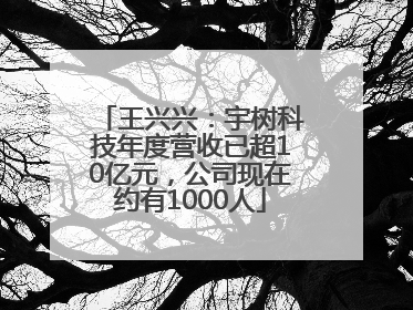 王兴兴：宇树科技年度营收已超10亿元，公司现在约有1000人