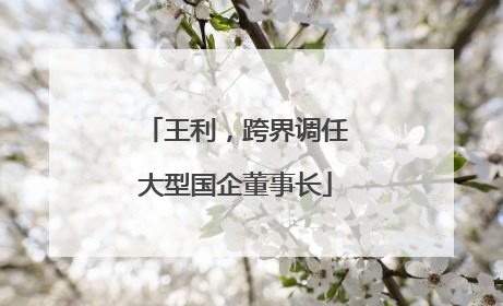 王利，跨界调任大型国企董事长