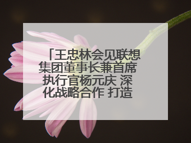 王忠林会见联想集团董事长兼首席执行官杨元庆 深化战略合作 打造世界级光电子信息产业集群