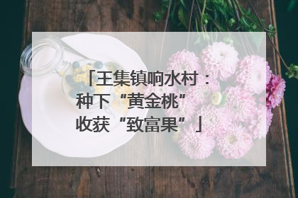 王集镇响水村：种下“黄金桃” 收获“致富果”