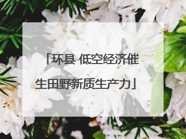 环县 低空经济催生田野新质生产力